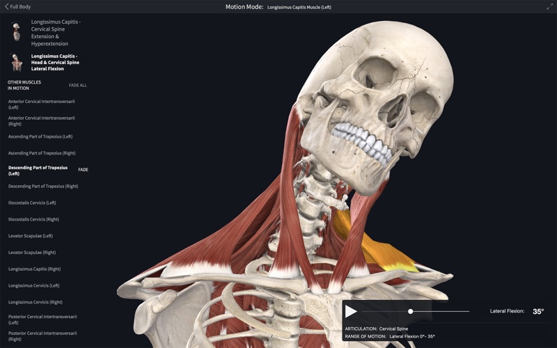 complete anatomy download free